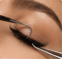 Lashes and Brows
